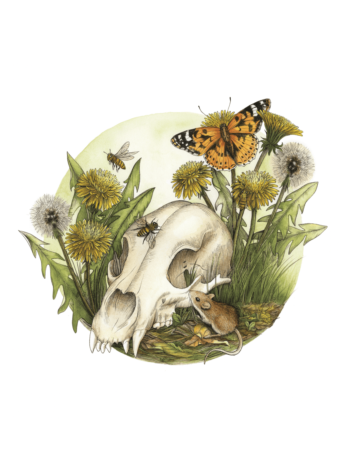 A small animal skull lies among dandelions, with bees, a butterfly, and a mouse nearby, depicting a scene of nature and life in a grassy setting.