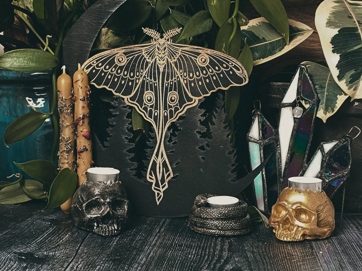 Witchy - Persephone's Hearth