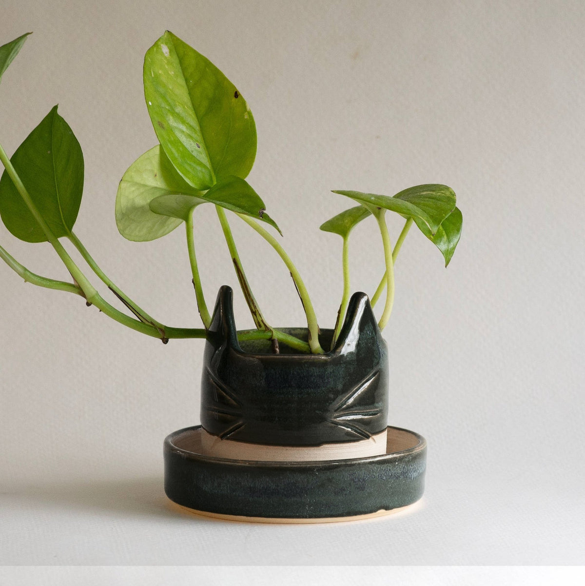 black cat planter pot 2.5" Small Ceramic Black Cat Planter