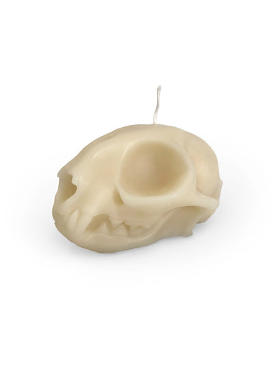 A Pleasant Thought Candles Cat Skull Pillar Candle