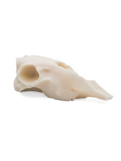 Ram Skull Pillar Candle