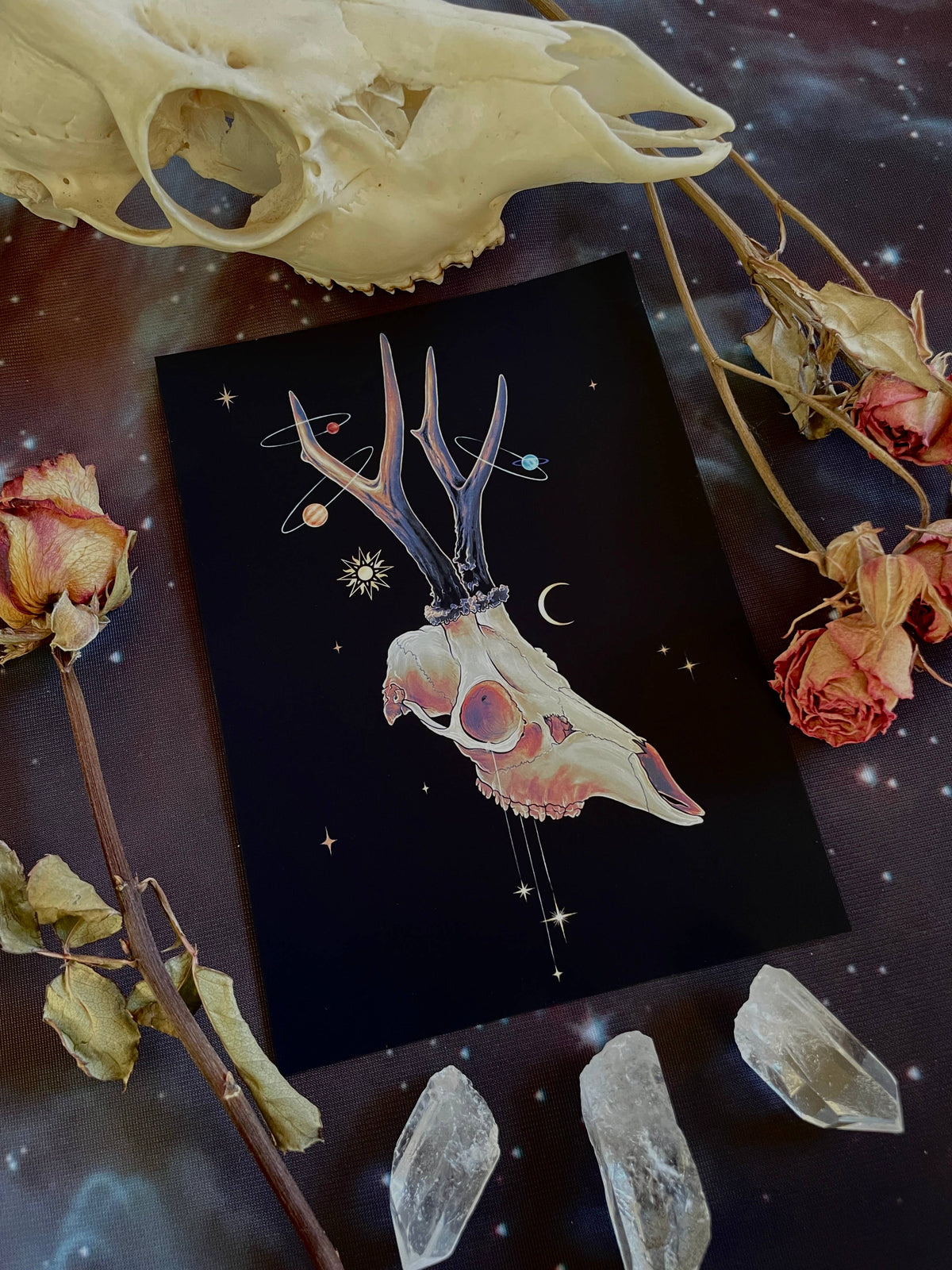 Amanda Tulacz Illustration "Lost in Orbit" 5x7" Art Print, witchy art print, roe deer