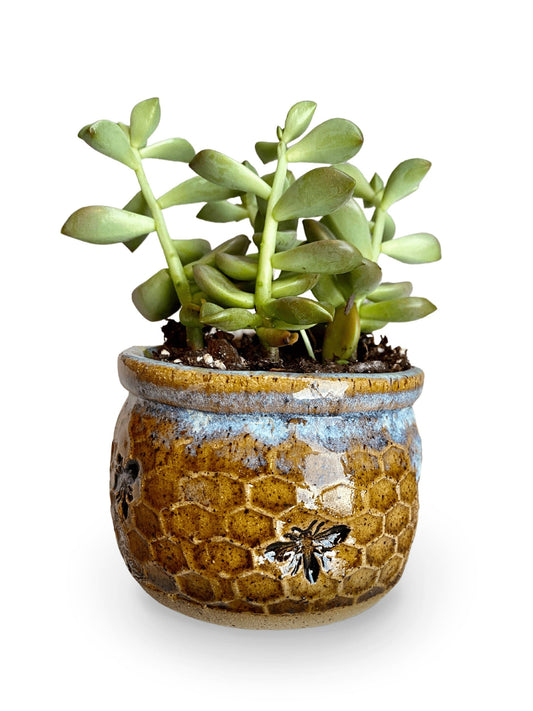 AMG Pottery Honeycomb Planter