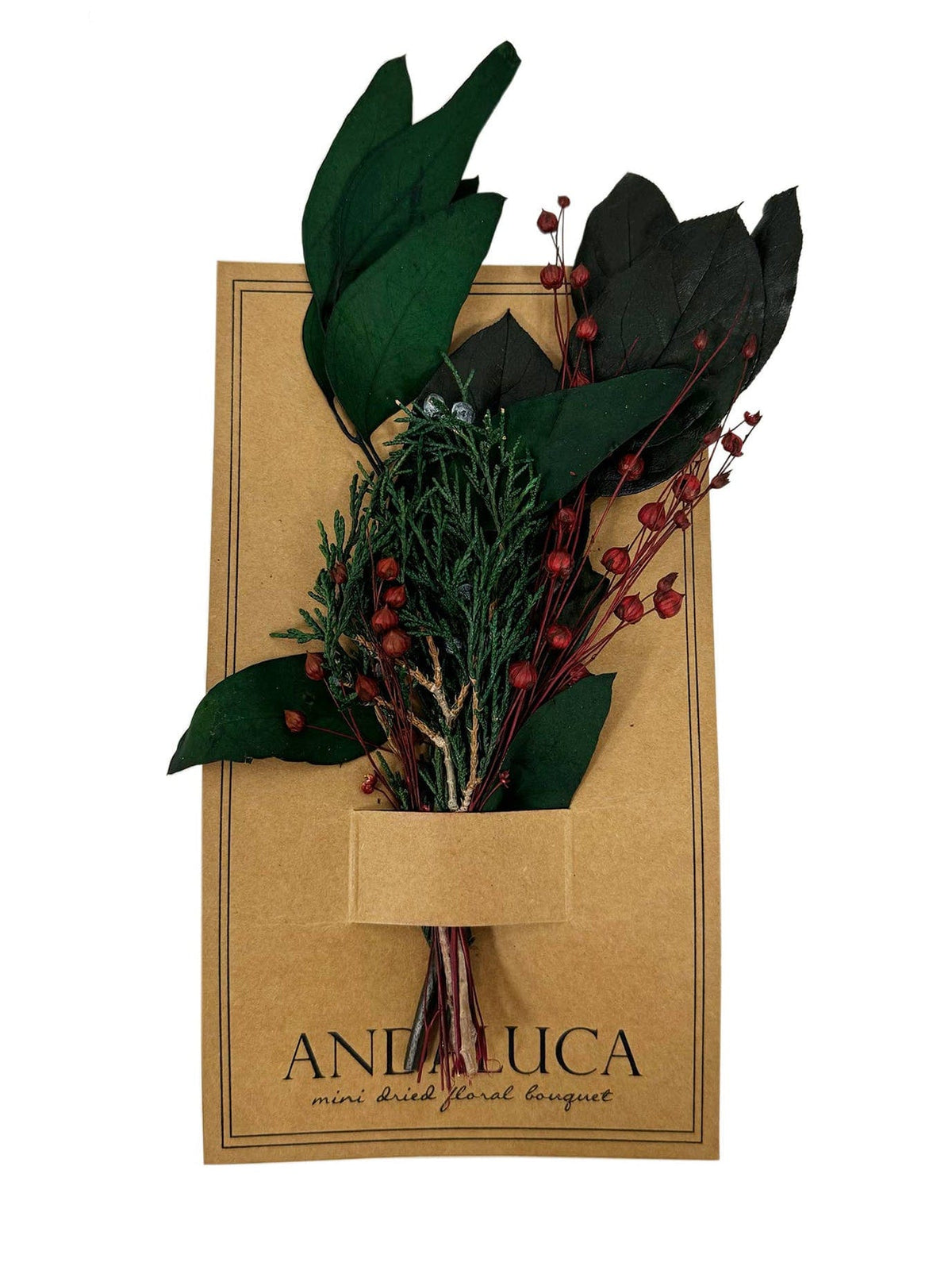 Andaluca Dried flower bouquet Winter Juniper Mini Bouquet