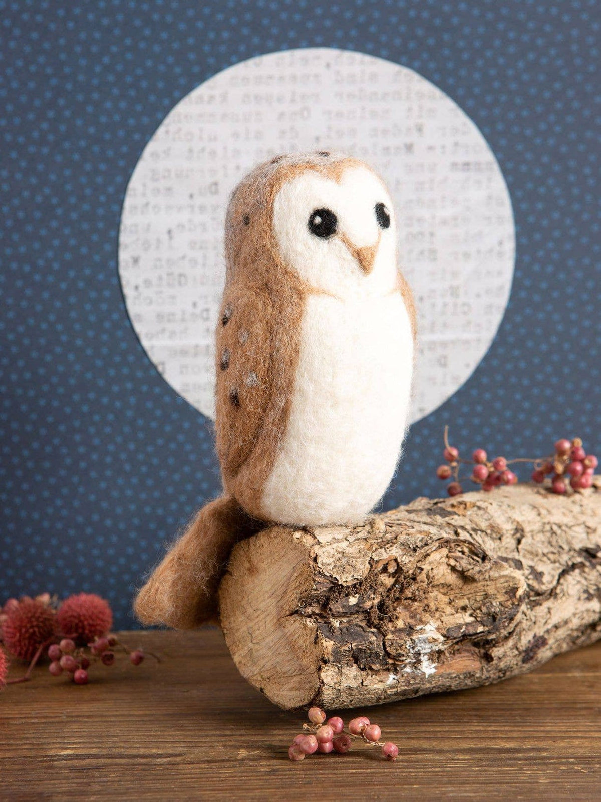 Beginner Barn Owl Needle Felting Kit - Shop at Persephone's Hearth