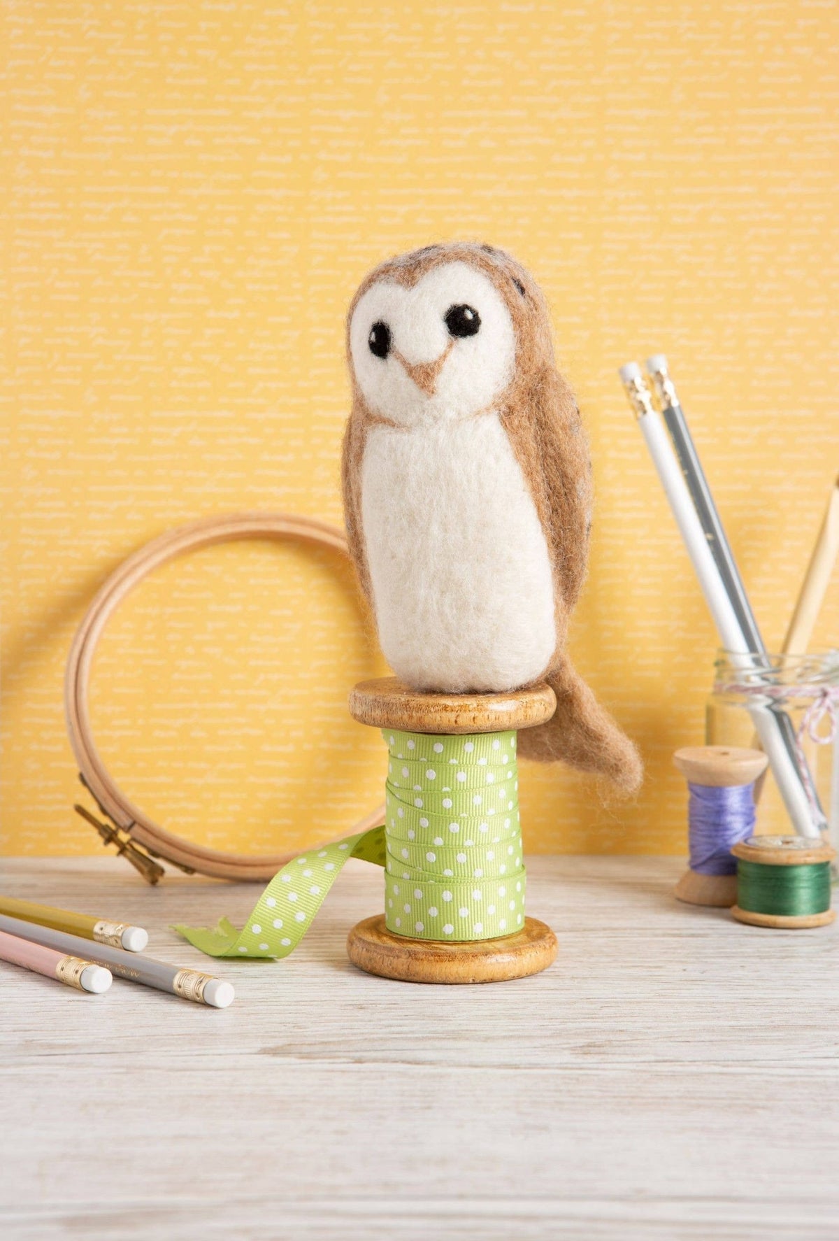 Beginner Barn Owl Needle Felting Kit - Shop at Persephone's Hearth