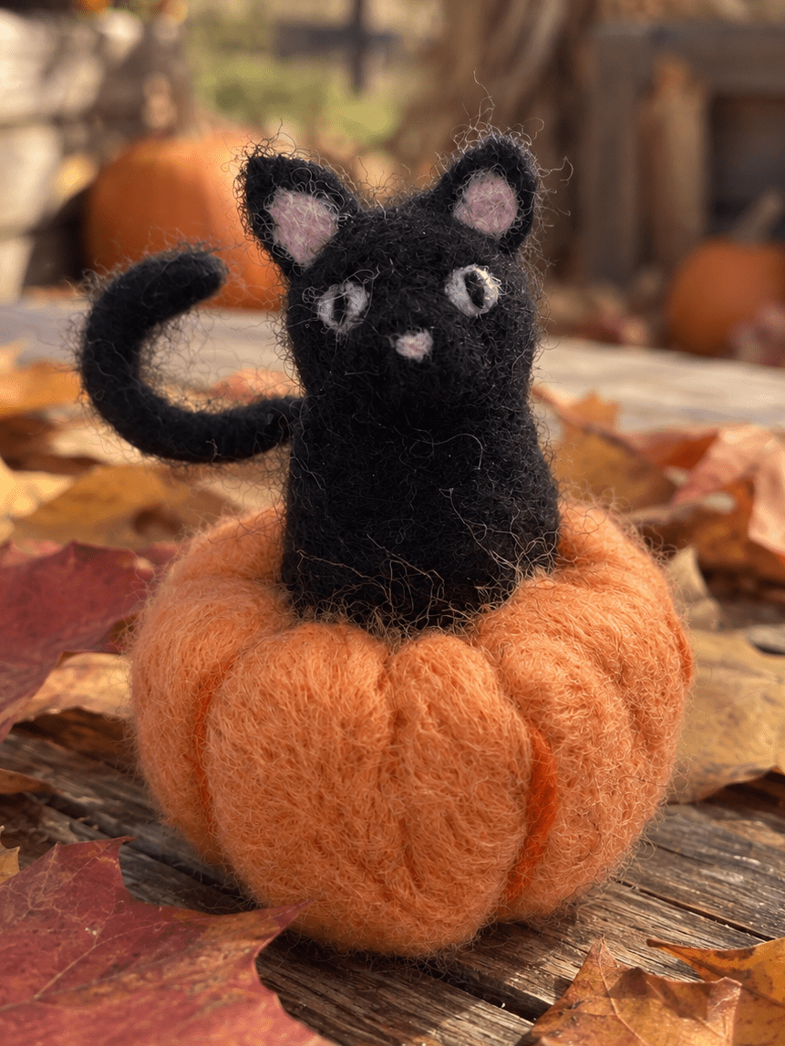 Beginner Black Cat In Pumpkin Needle Felting Kit - Shop at Persephone's Hearth