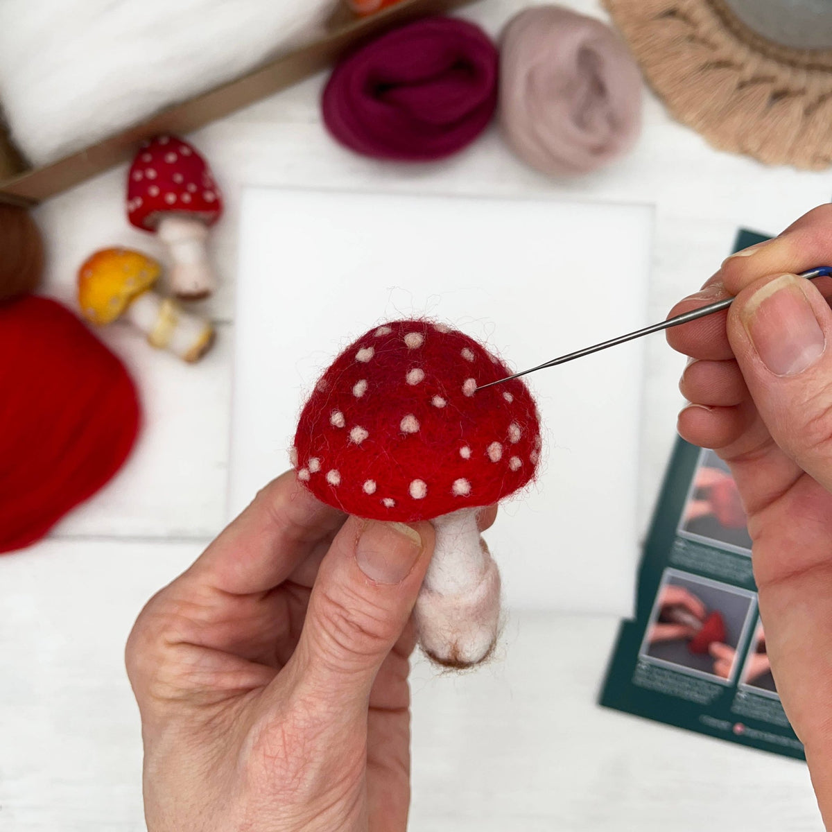 Beginner Toadstools Needle Felting Kit - Shop at Persephone's Hearth