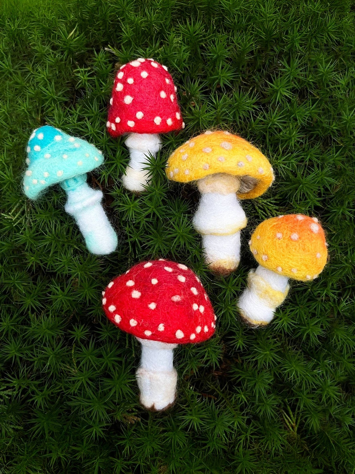 Beginner Toadstools Needle Felting Kit - Shop at Persephone's Hearth