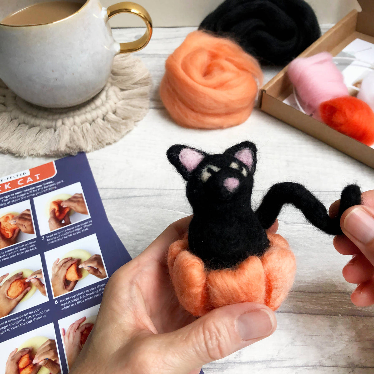 Bergin & Bath Needle Felting Kit, Black Cat. A Halloween craft kit