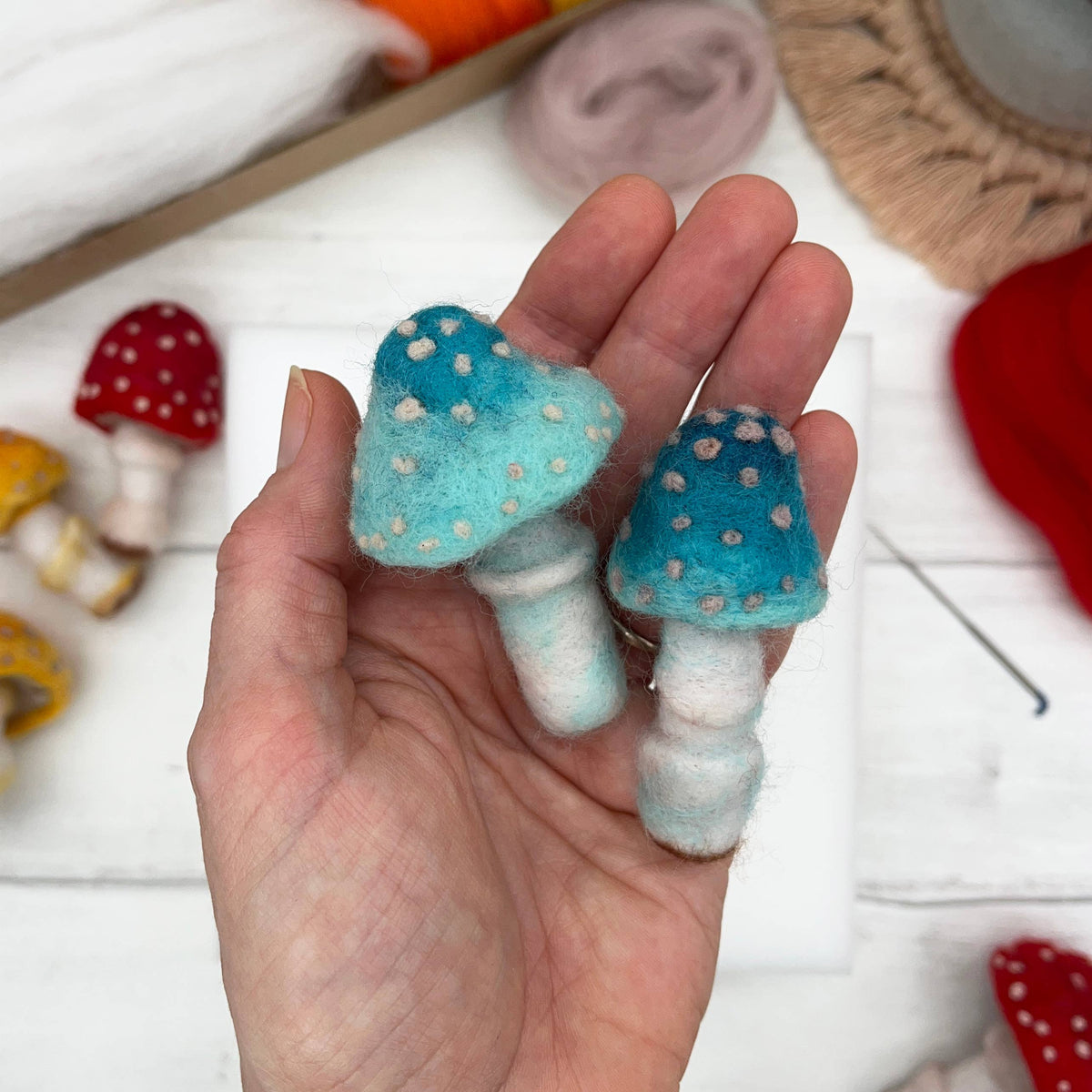 Bergin & Bath Needle Felting Kit, Toadstools