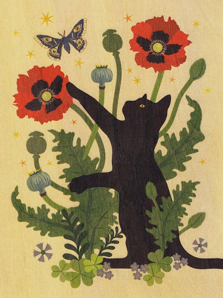"Black Cat & Poppies" Small Wood Print, 11" x 8.5" - Shop at Persephone's Hearth