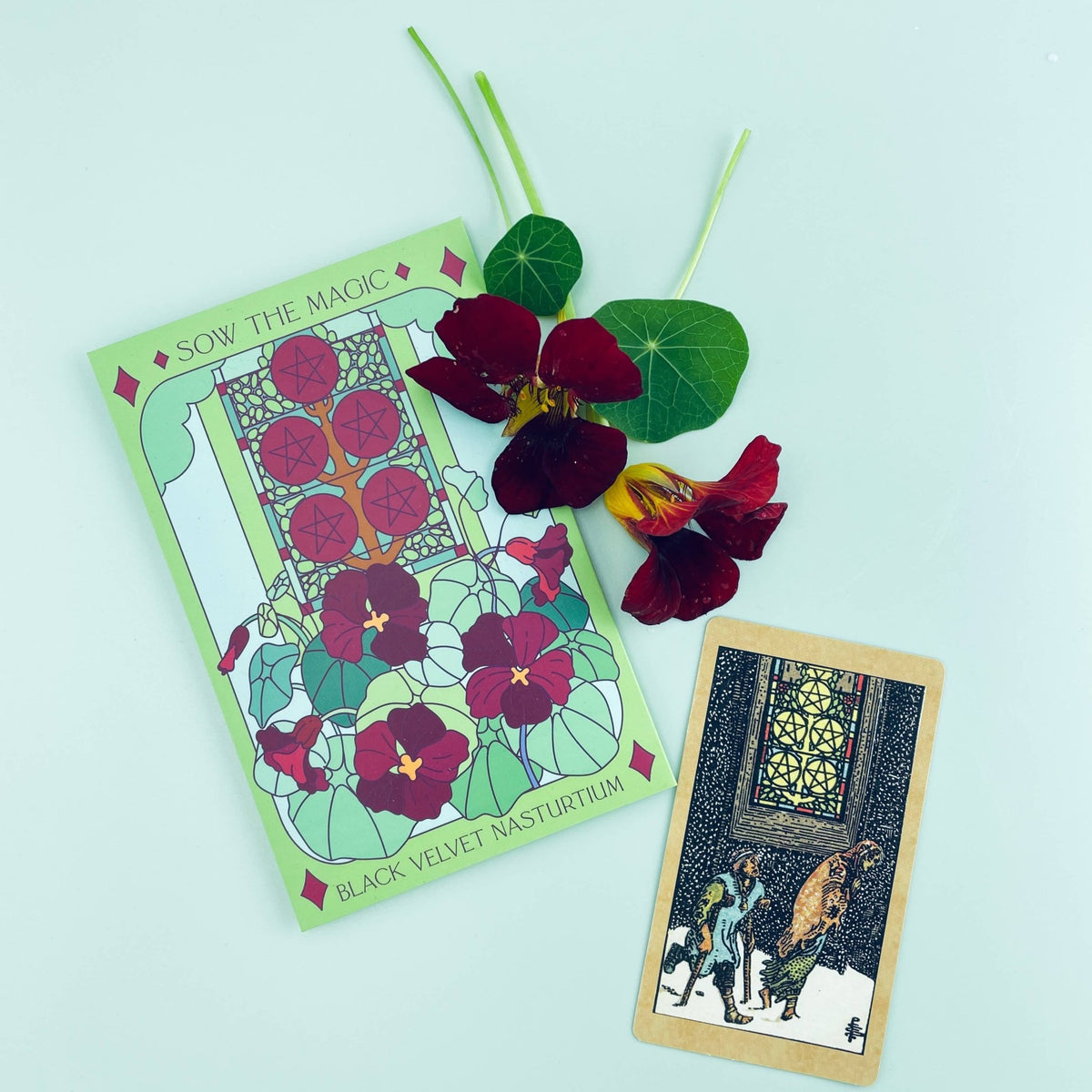 Black Velvet Nasturtium Tarot Garden Seed Packet - Shop at Persephone's Hearth
