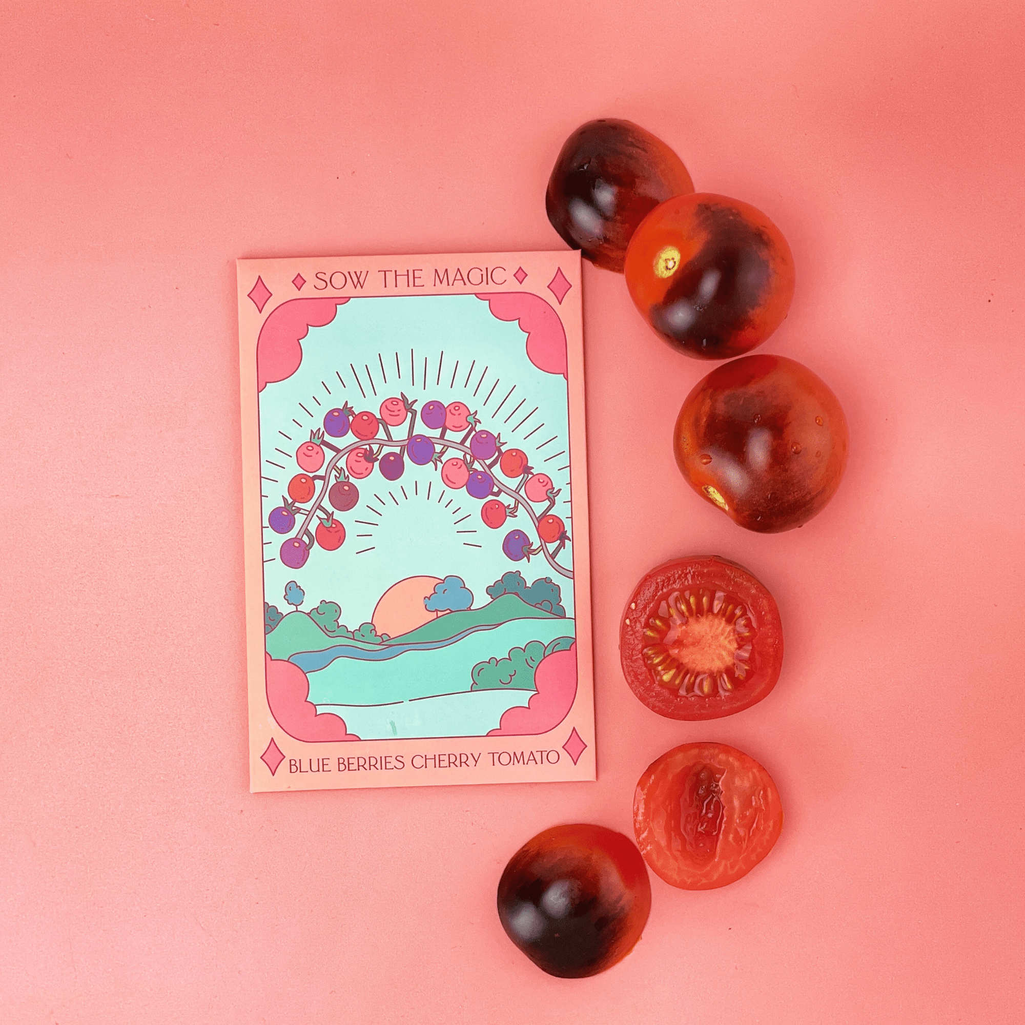 Sow the Magic Blueberries Cherry Tomato Garden Seed Packet - Thumbnail 5