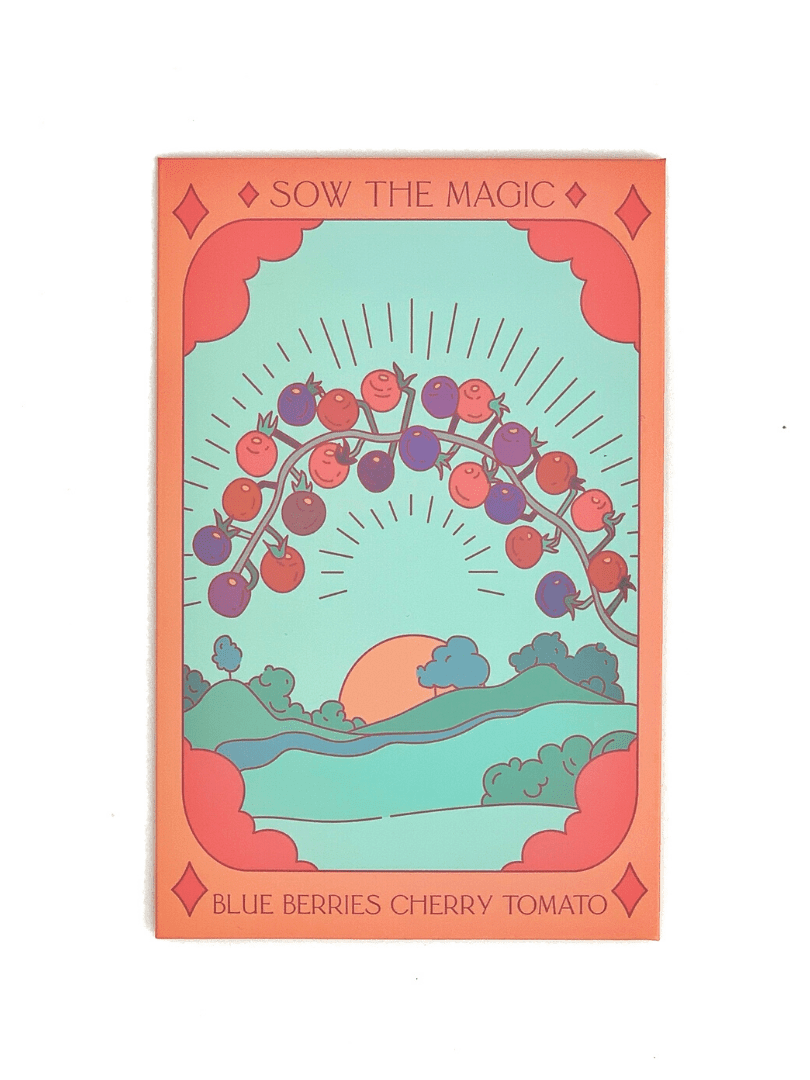 Blueberries Cherry Tomato Tarot Garden Seed Packet - Shop at Persephone's Hearth