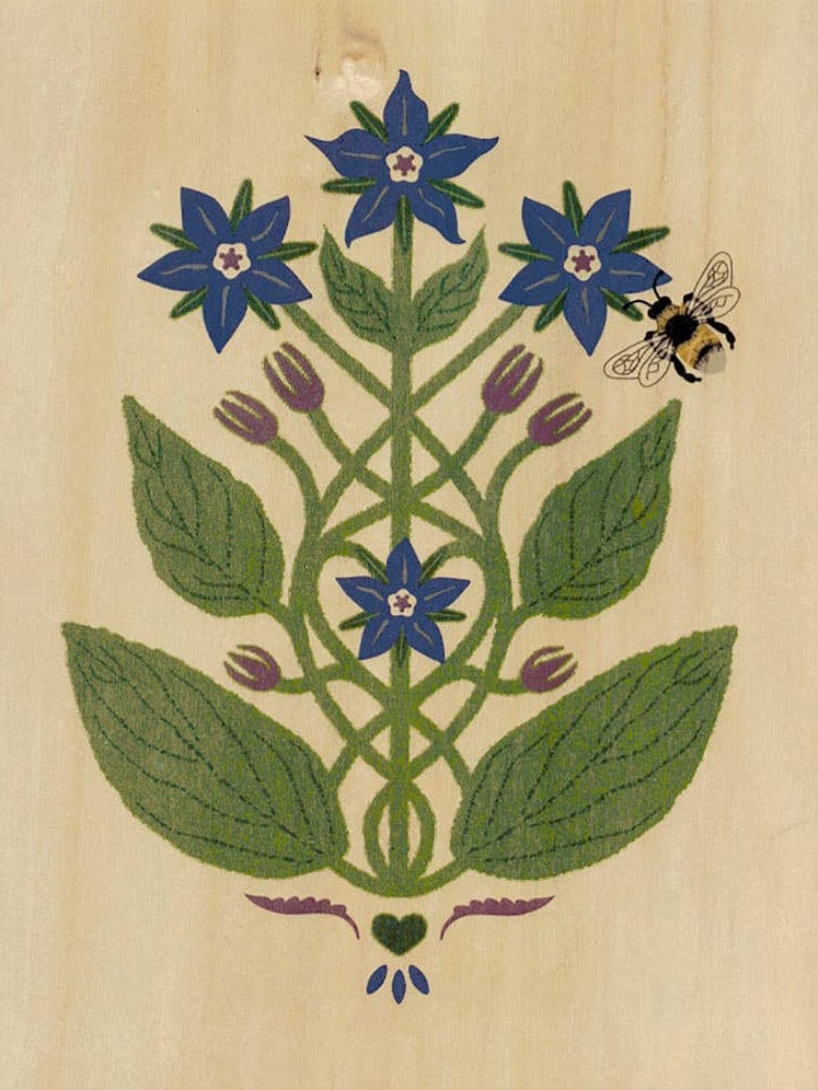 "Borage and Bee" Small Wood Print, 11" x 8.5" - Shop at Persephone's Hearth