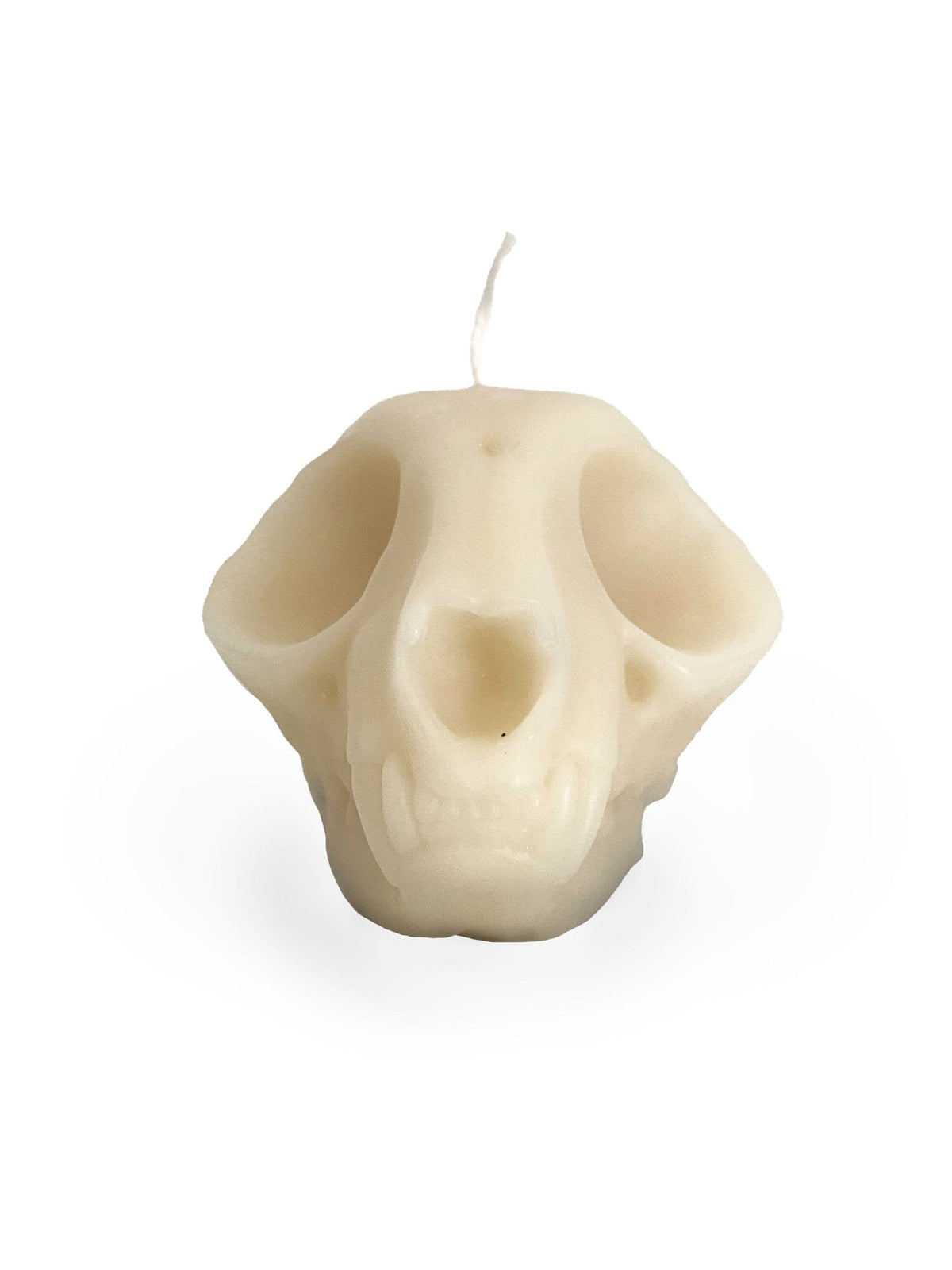 Cat Skull Pillar Candle - Shop at Persephone's Hearth