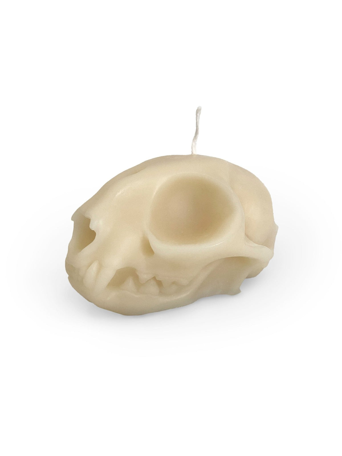 Cat Skull Pillar Candle - Shop at Persephone's Hearth