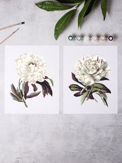 DIY Canvas Art Peony Blossoms Paint-By-Numbers Kit