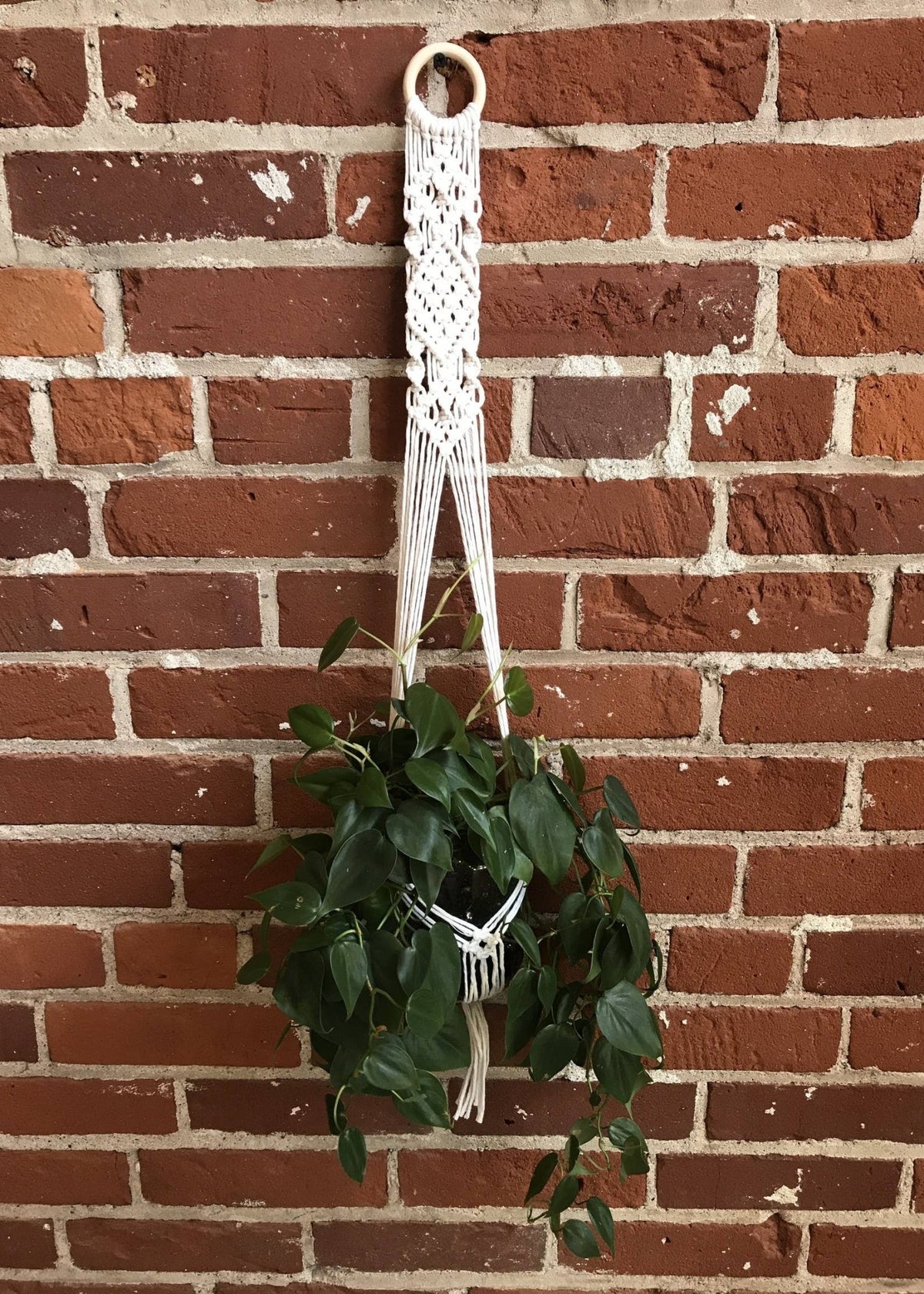 macrame plant hanger intermediate DIY Evelyn Plant Hanger Intermediate Macrame Kit