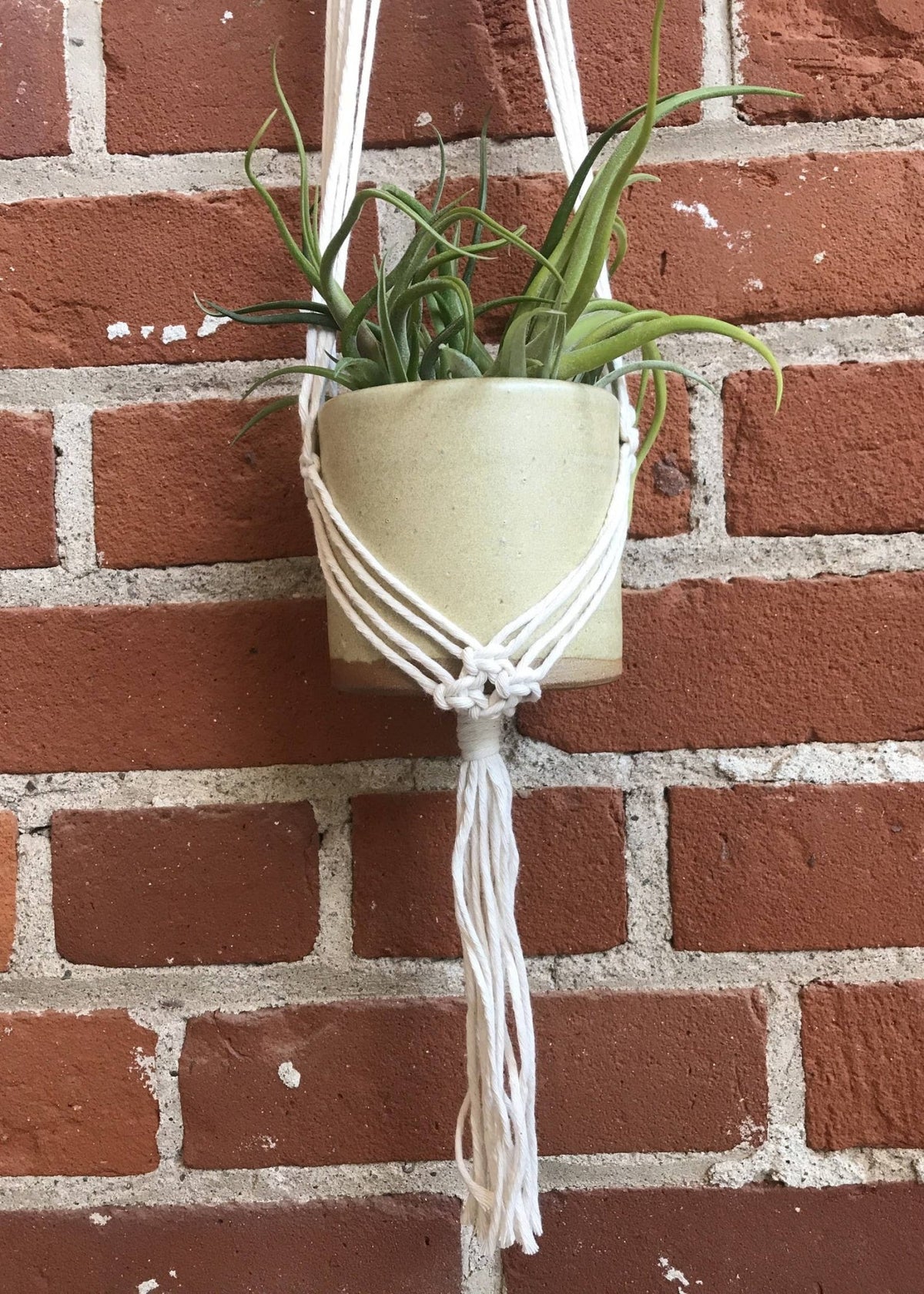macrame plant hanger intermediate DIY Evelyn Plant Hanger Intermediate Macrame Kit