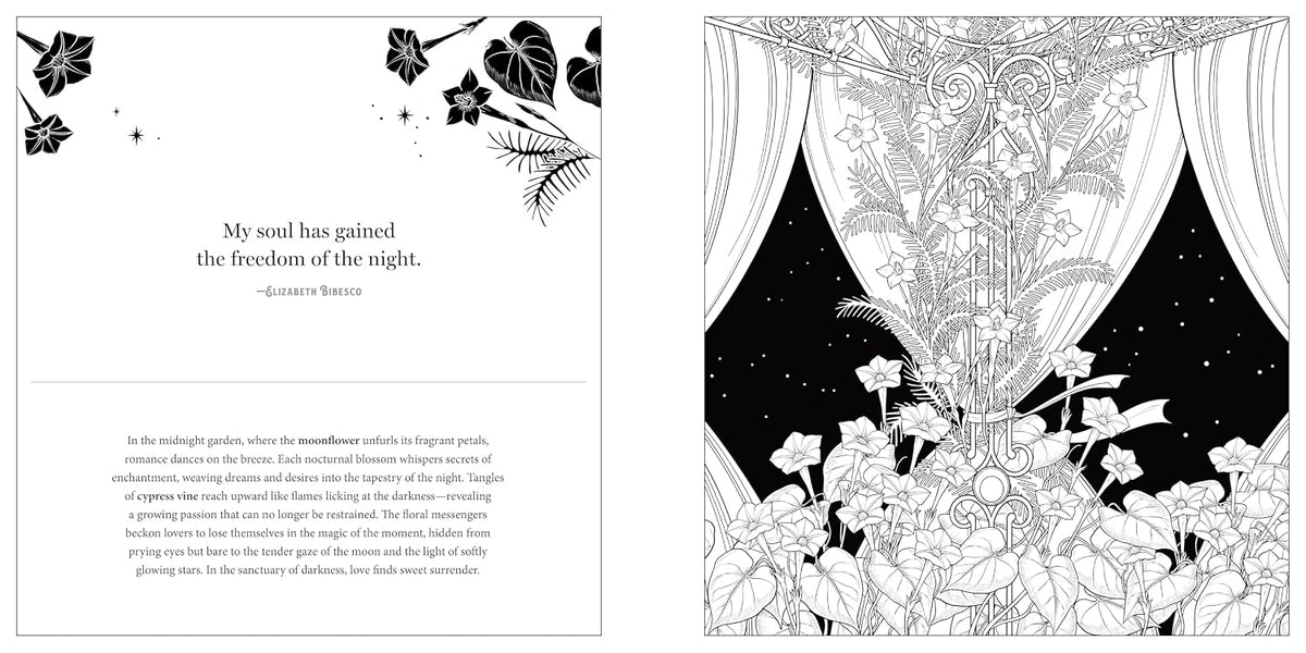Floriographic: Midnight Garden Artist’s Coloring Book - Shop at Persephone's Hearth