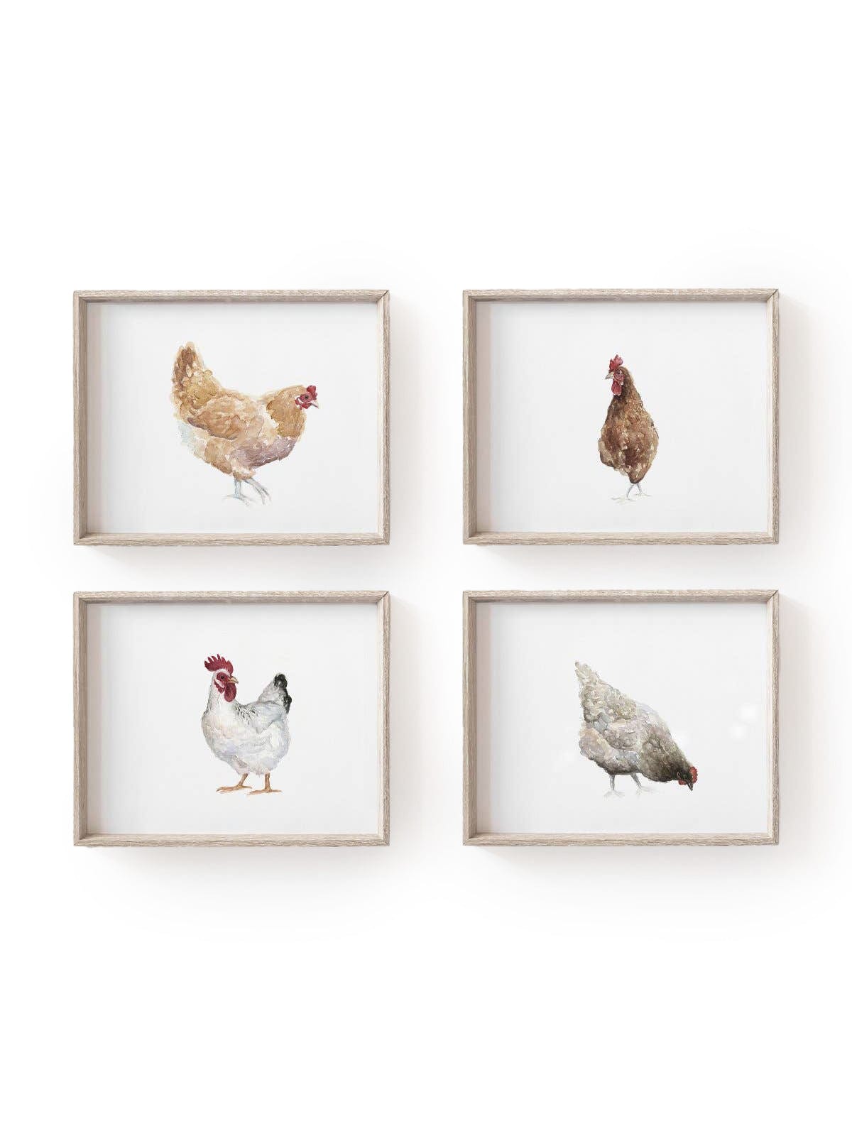 Fox Hollow Studios Giclee Print 5 x 7" (Unframed) Chickens Art Print Set of 4