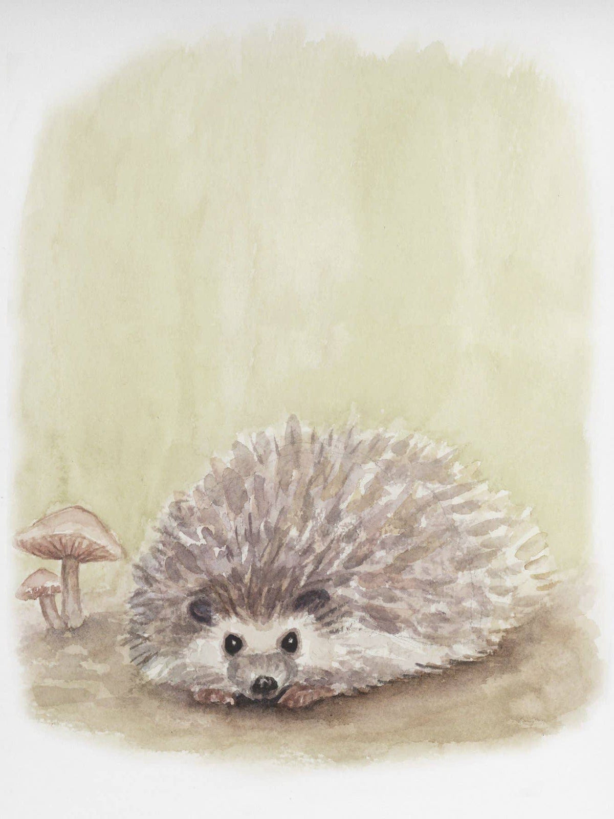 Fox Hollow Studios Giclee Print 8 x 10" (Unframed) Hedgehog Art Print (Our Little Adventures)