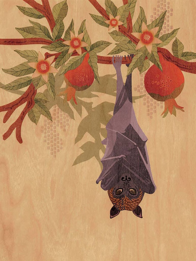 "Fruit Bat and Pomegranate" Small Wood Print, 11" x 8.5" - Shop at Persephone's Hearth