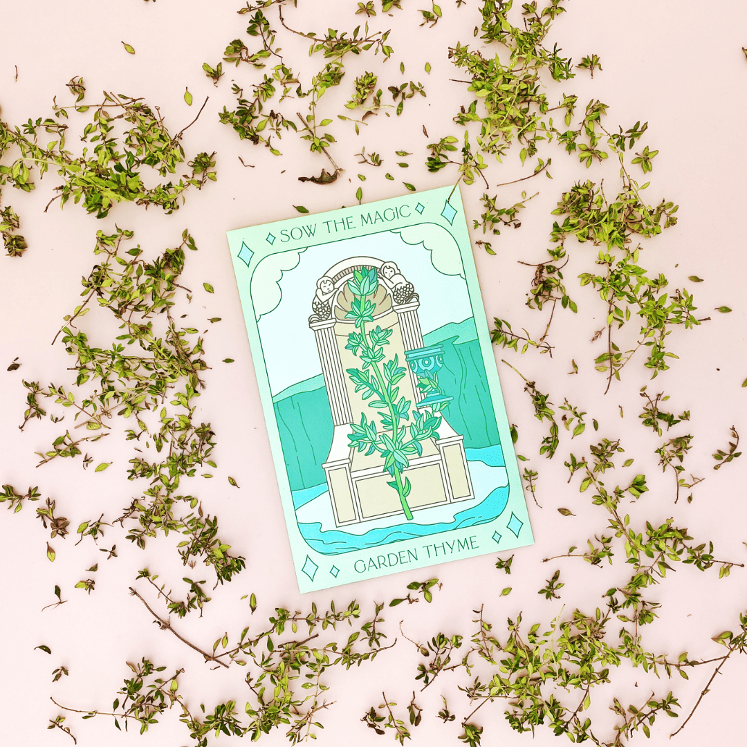 Sow the Magic Tarot Garden Thyme Seeds - Thumbnail 3