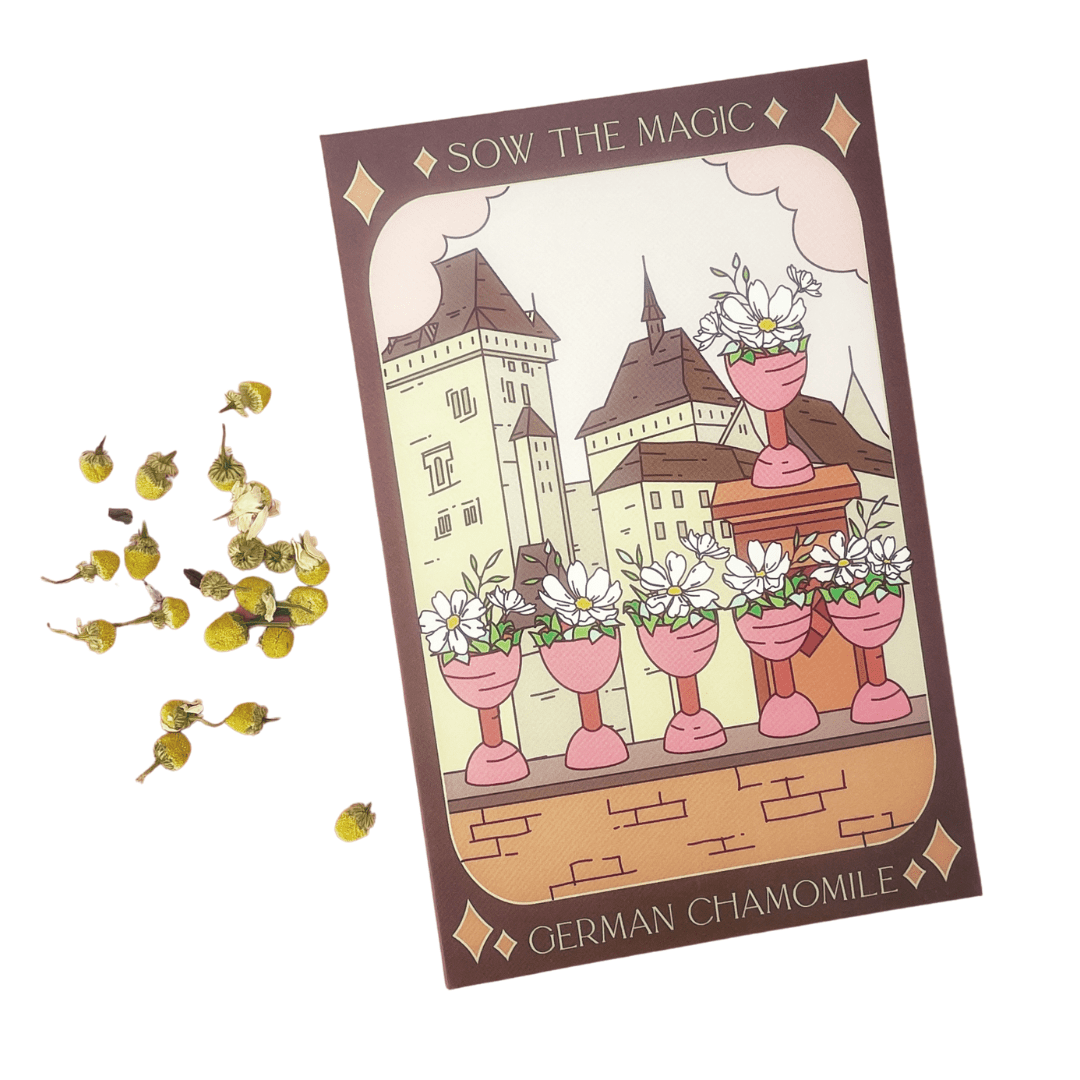 German Chamomile Tarot Garden Seed Packet - Shop at Persephone's Hearth