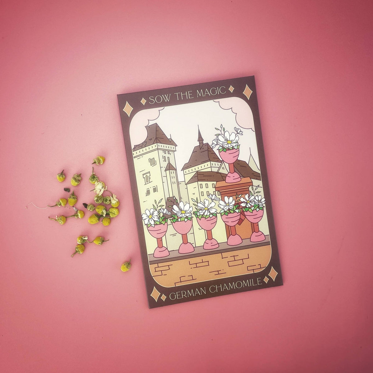 German Chamomile Tarot Garden Seed Packet - Shop at Persephone's Hearth