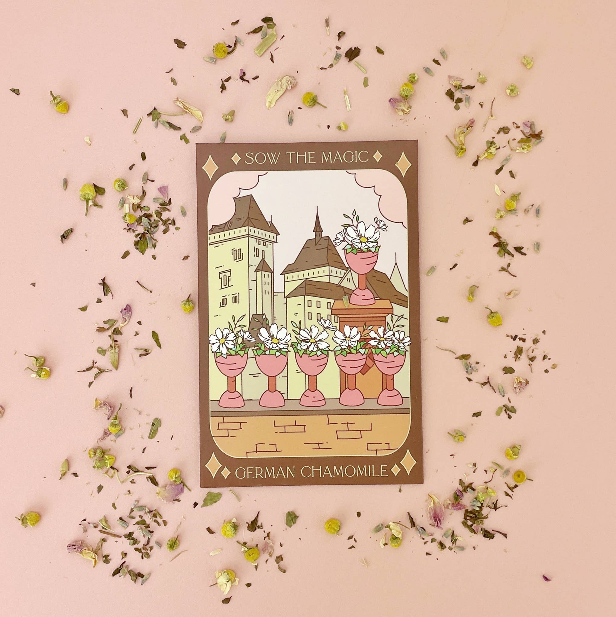 Sow the Magic Oregano Seed Packet