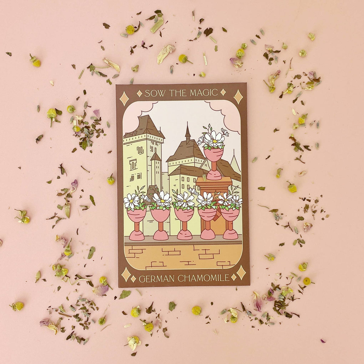 German Chamomile Tarot Garden Seed Packet - Shop at Persephone's Hearth