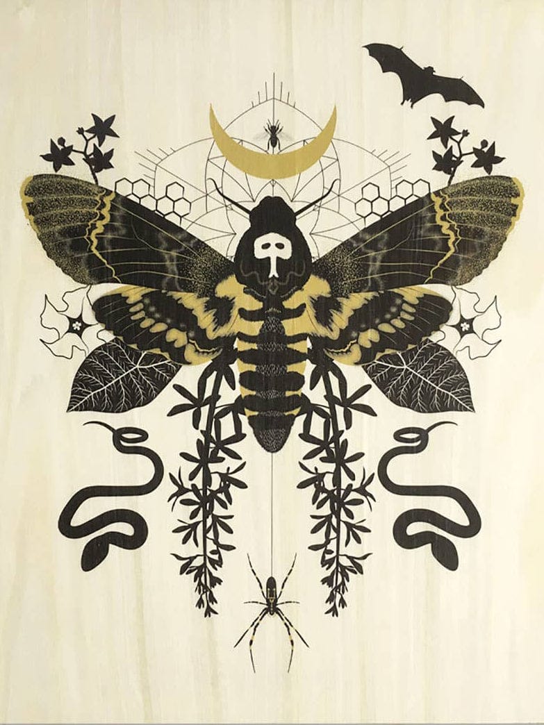 "Hawk Moth" Small Wood Print, 11" x 8.5" - Shop at Persephone's Hearth