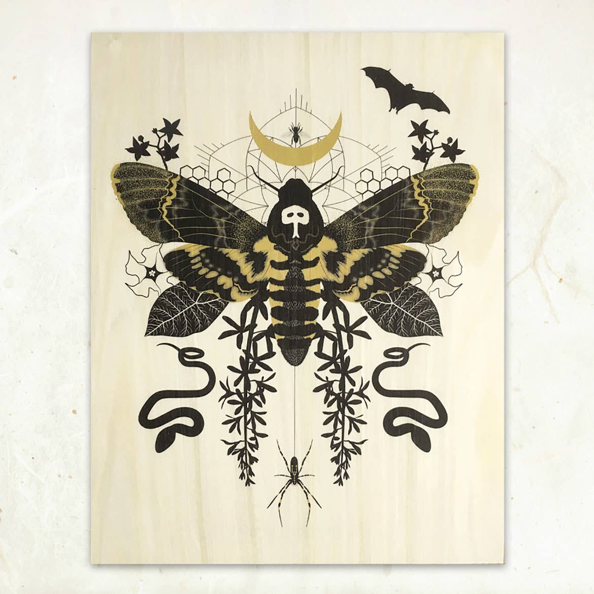 "Hawk Moth" Small Wood Print, 11" x 8.5" - Shop at Persephone's Hearth