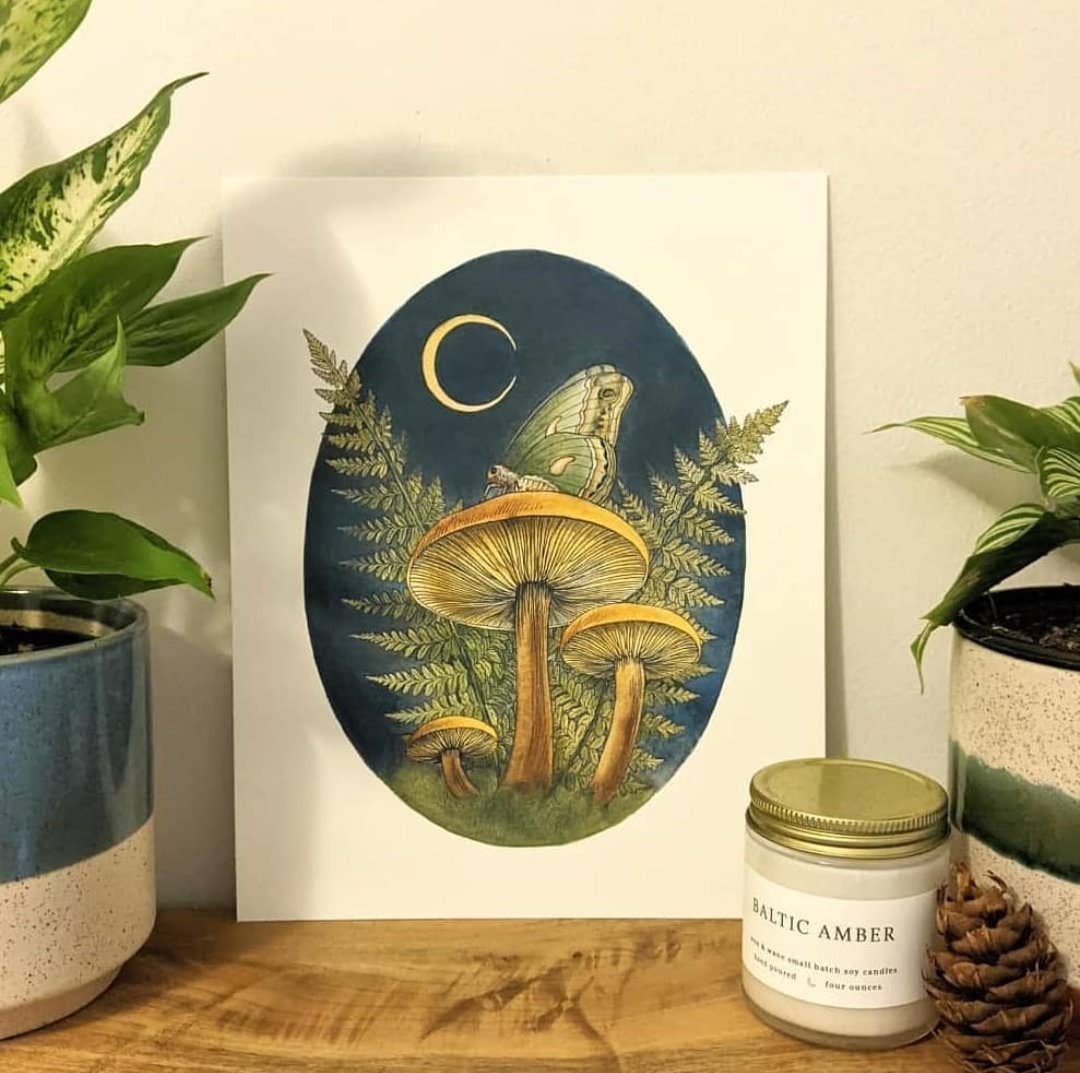 Kyla Rae Design Watercolor Mushroom Art With Moth And Fern, Botanical Illustration Of Ferns, Moth, And Mushrooms, Office And Living Room Decor: 8x10