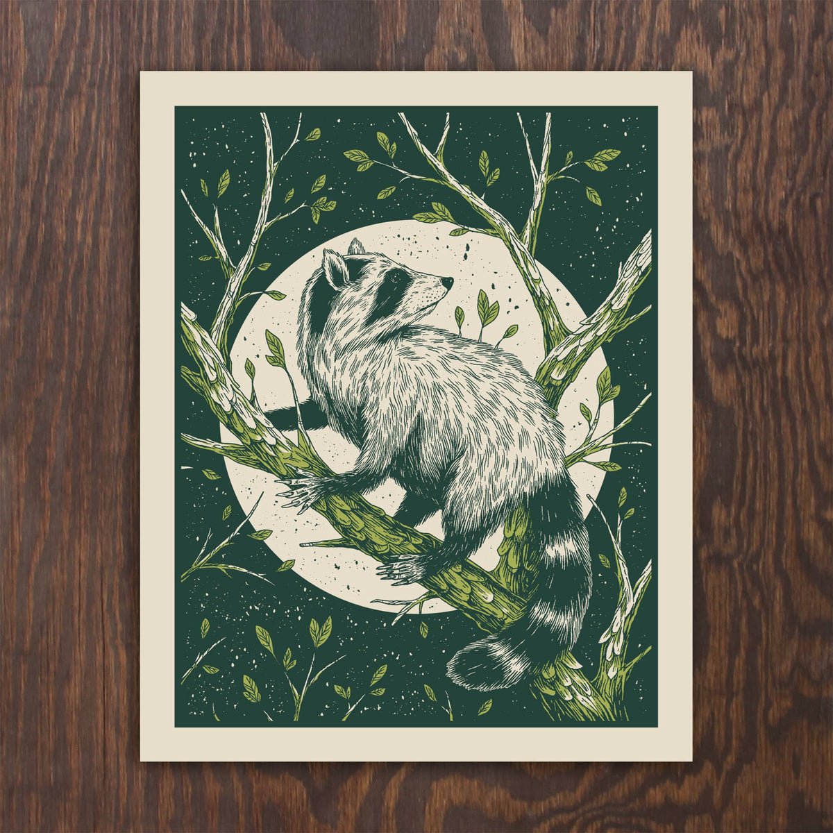 Logan Schmitt Illustration Giclee Print Raccoon Art Print