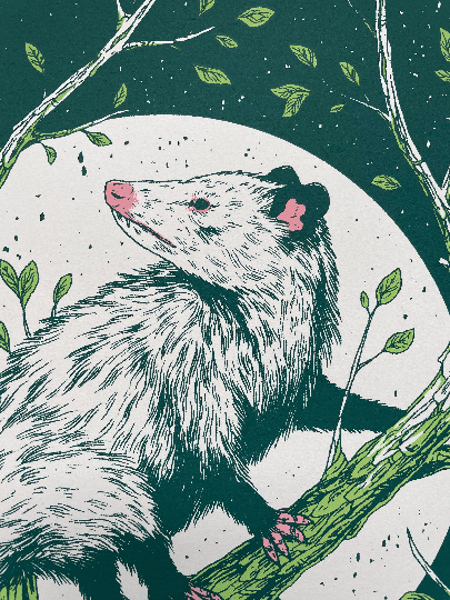 Logan Schmitt Illustration Opossum Screenprint: Regular