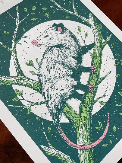 Logan Schmitt Illustration Opossum Screenprint: Regular