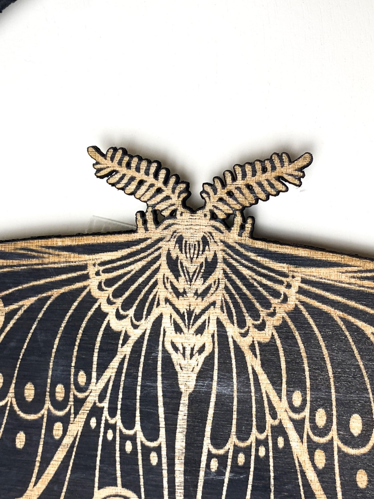 Luna Moth Wall Hanging - Shop at Persephone's Hearth