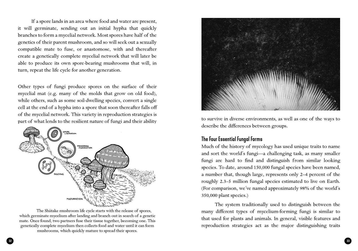 Microcosm Publishing & Distribution Mycocultural Revolution: Transforming Our World with Fungi