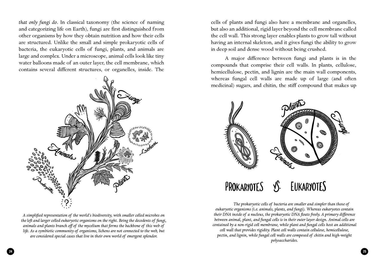 Microcosm Publishing & Distribution Mycocultural Revolution: Transforming Our World with Fungi