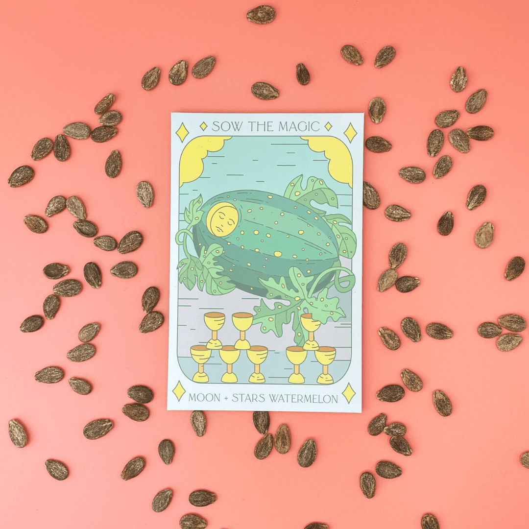 Moon and Stars Watermelon Tarot Garden Seed Packet - Shop at Persephone's Hearth