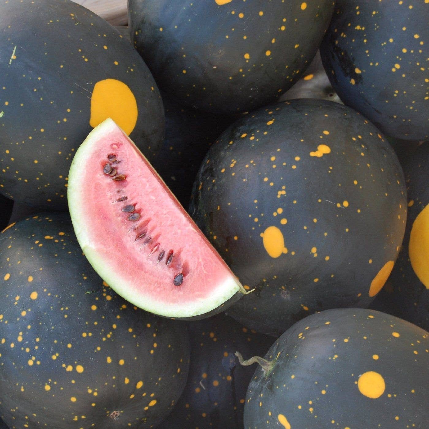 Sow the Magic Moon and Stars Watermelon Seed Packet - Thumbnail 2