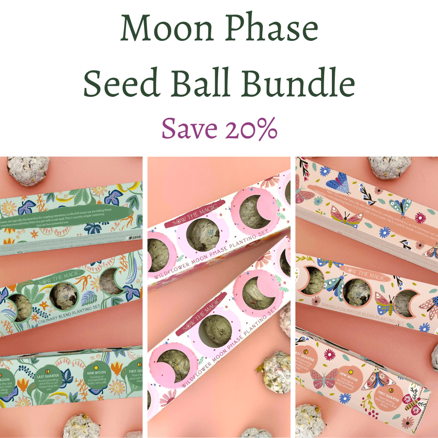 Moon Phase Seed Ball Bundle - Shop at Persephone's Hearth