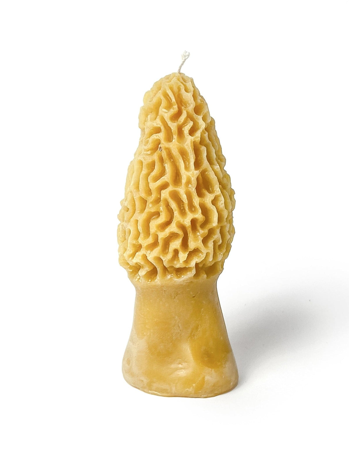 Morel Mushroom Beeswax Candle - Shop at Persephone's Hearth