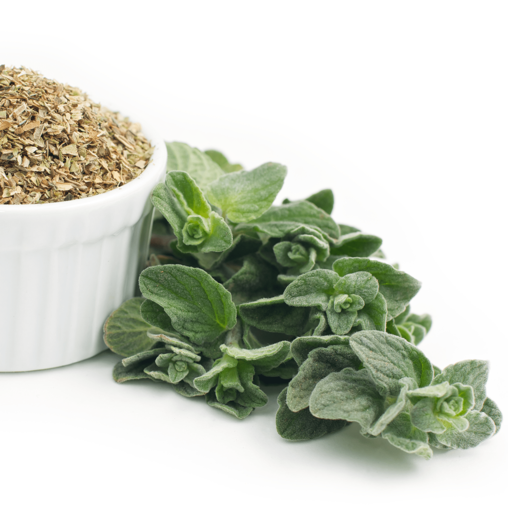 Sow the Magic Oregano Seed Packet - Thumbnail 5
