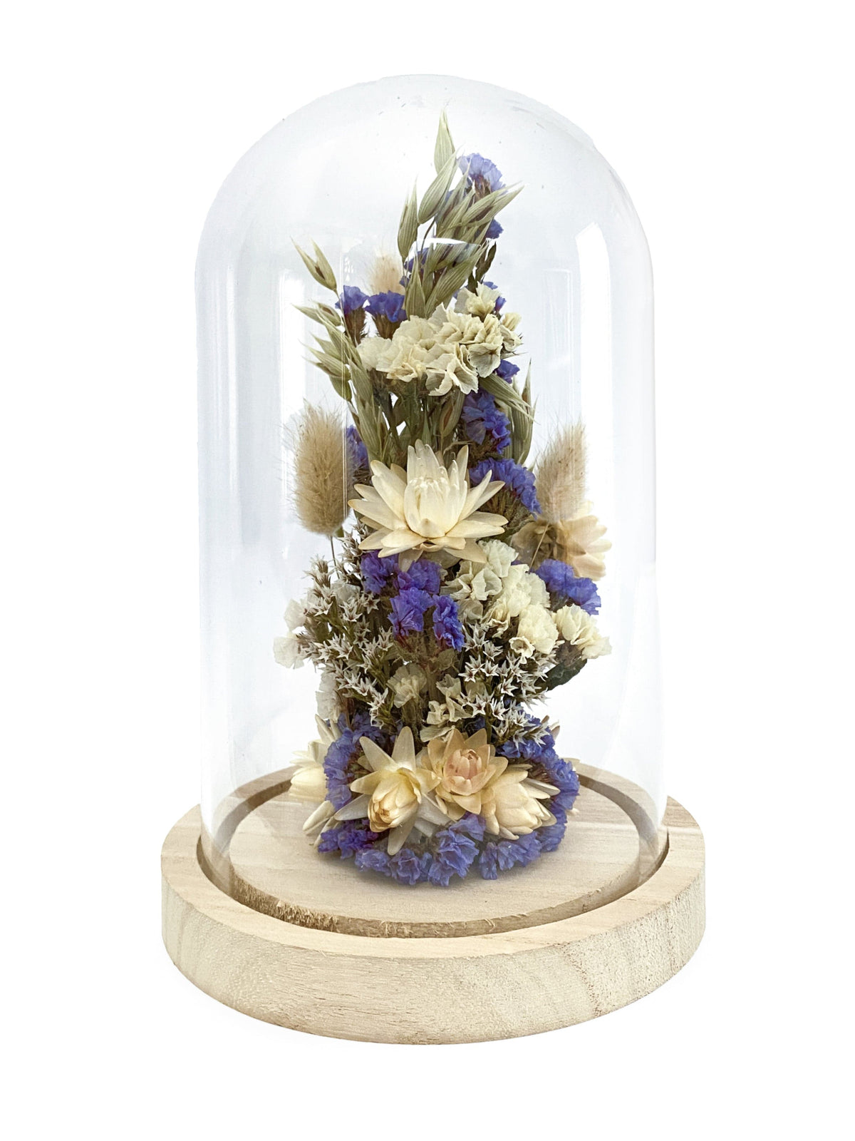 Polhine Dried flower cloche Medium Dried Flower Cloche in Blue