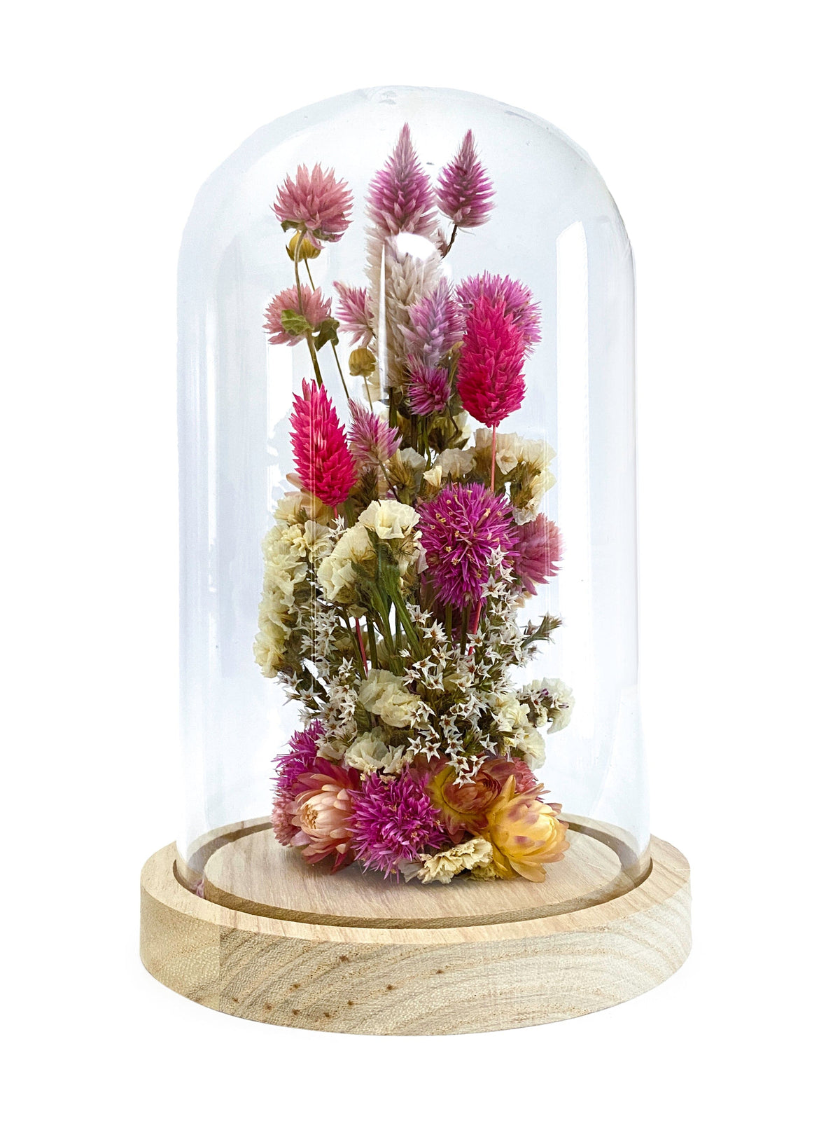 Polhine Pink Dried Flower Cloche - Standard